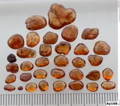 Foto von Granat (Grossular, Hessonit) (NHMW-MIN-Ay166)